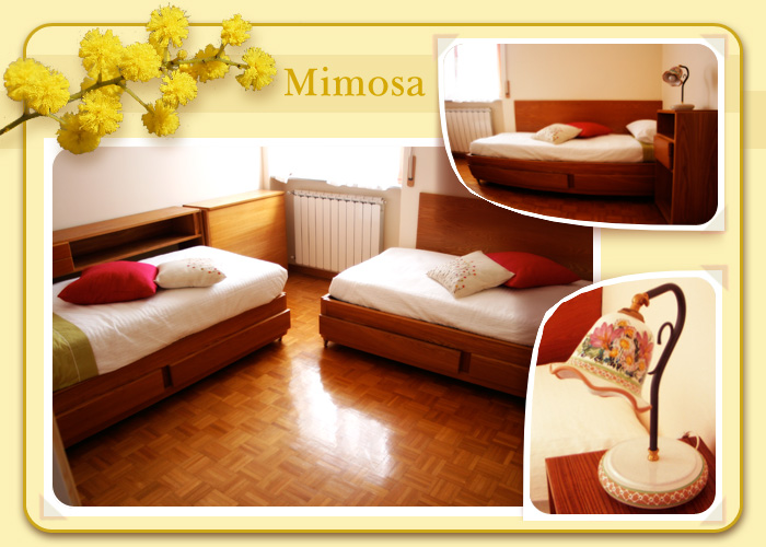 La camera Mimosa